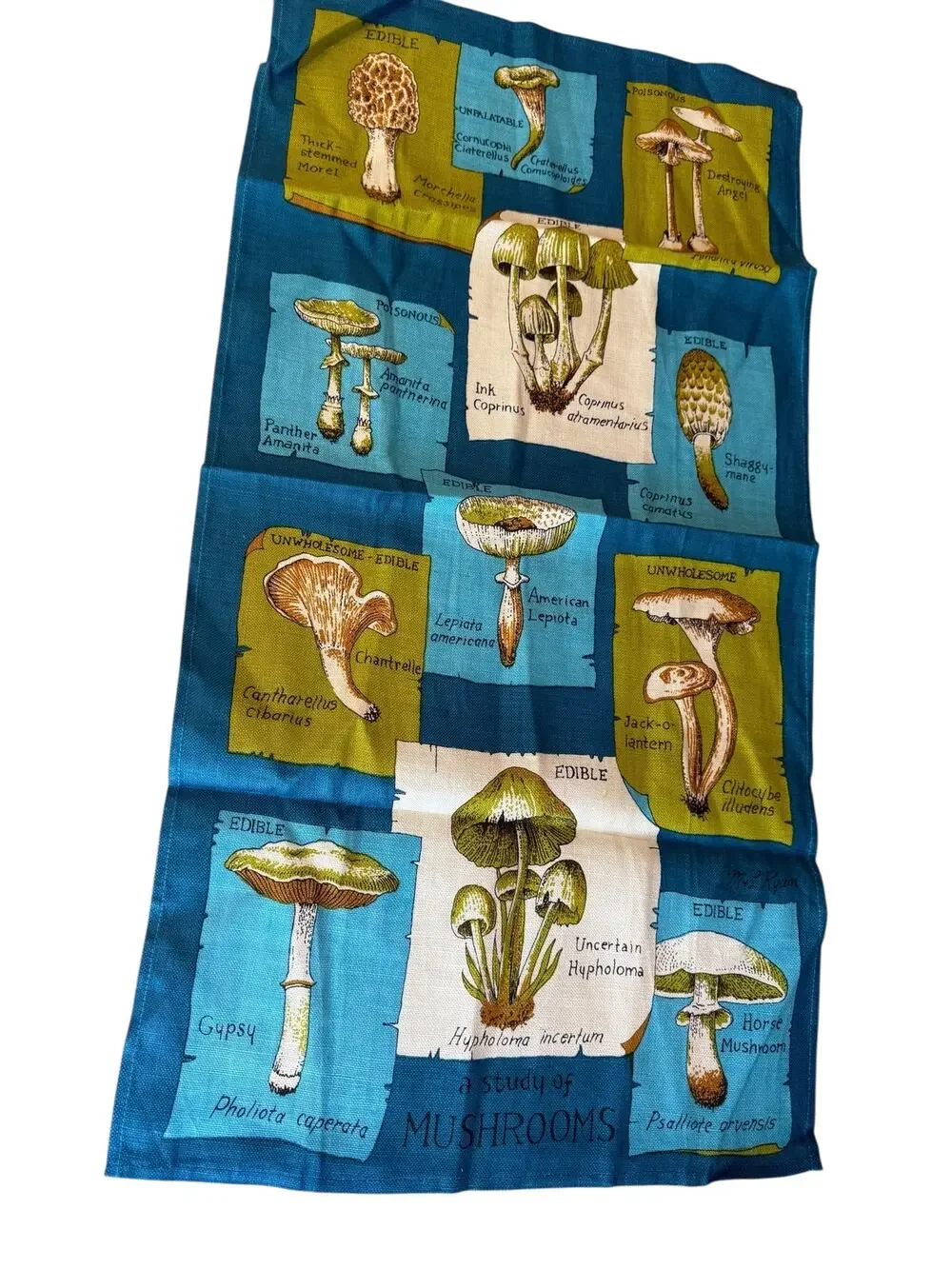 Vintage Mushroom Story Linen Tea Dish Towel Blue Green